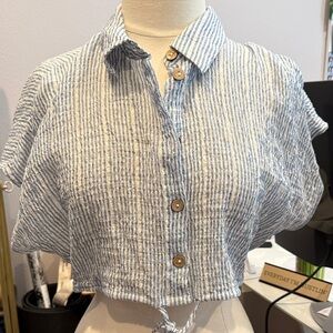 Zara Blue and White Striped Button-Down Crop Top
